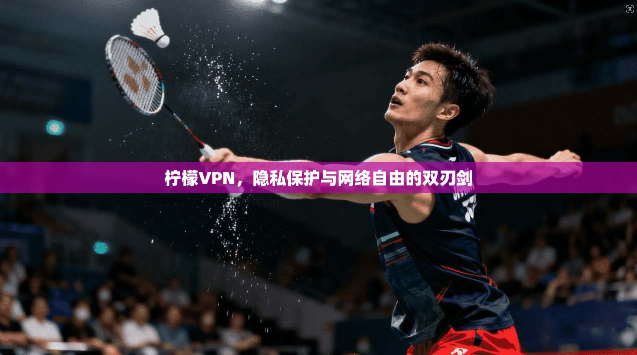 柠檬VPN，隐私保护与网络自由的双刃剑
