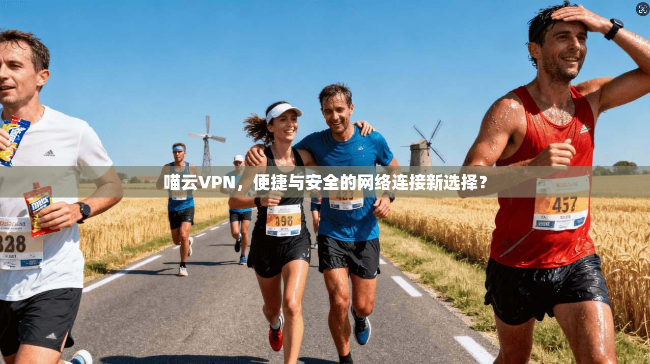 喵云VPN，便捷与安全的网络连接新选择？