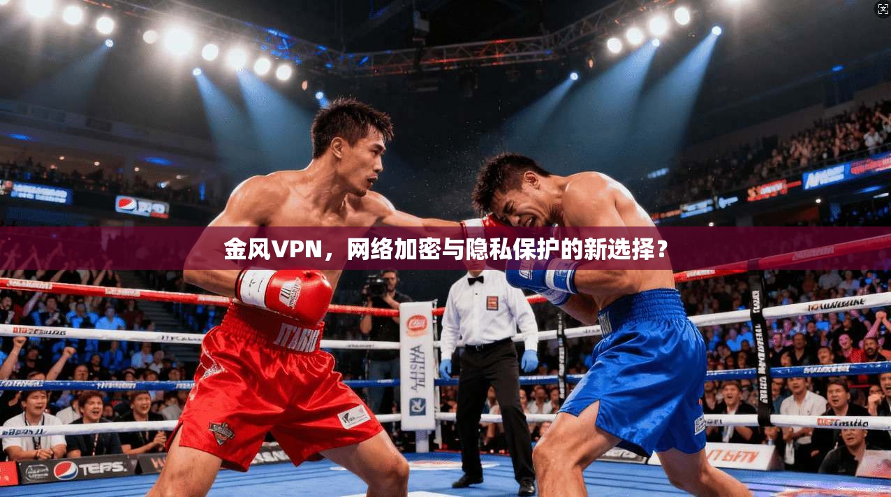 金风VPN，网络加密与隐私保护的新选择？