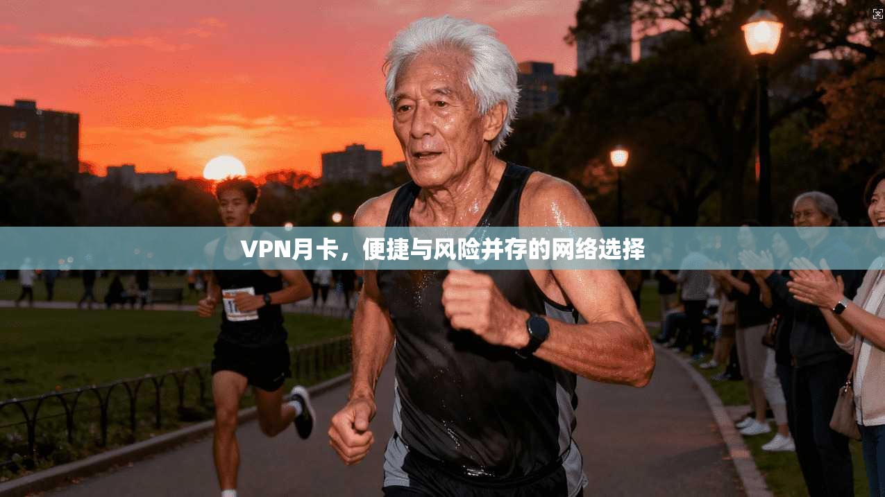 VPN月卡,便捷与风险并存的网络选择