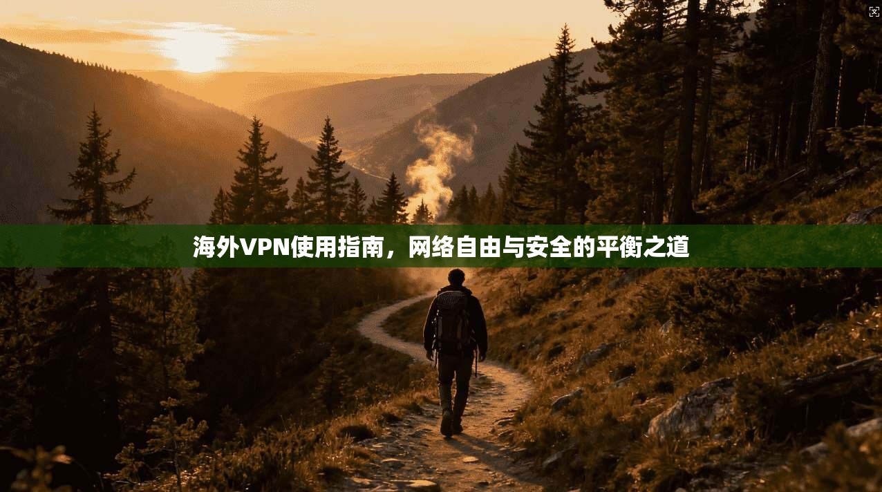 海外VPN使用指南,网络自由与安全的平衡之道