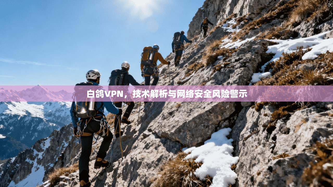 白鸽VPN,技术解析与网络安全风险警示