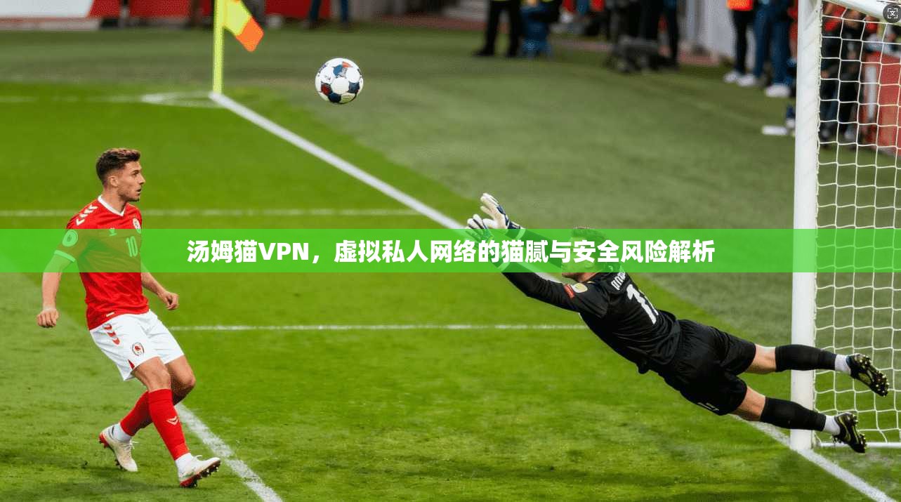 汤姆猫VPN,虚拟私人网络的猫腻与安全风险解析