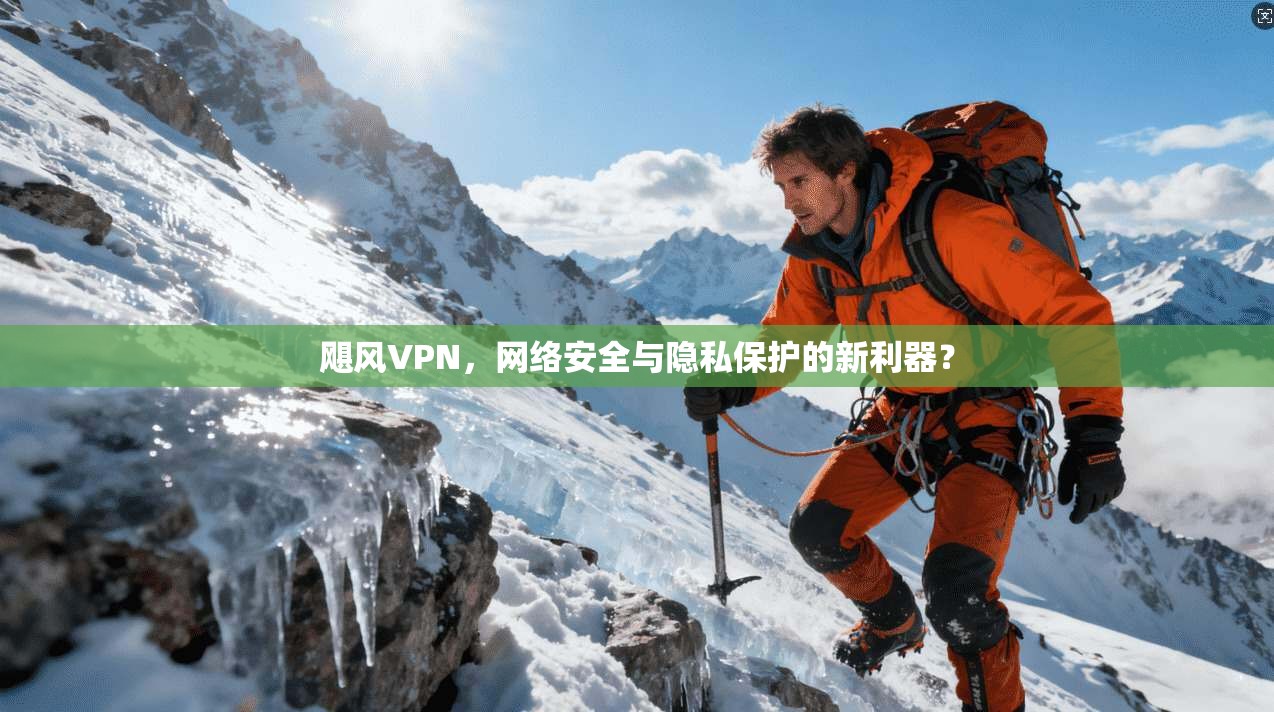 飓风VPN，网络安全与隐私保护的新利器？