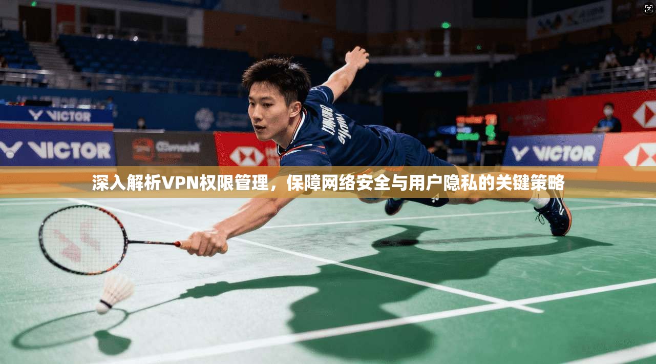 深入解析VPN权限管理，保障网络安全与用户隐私的关键策略