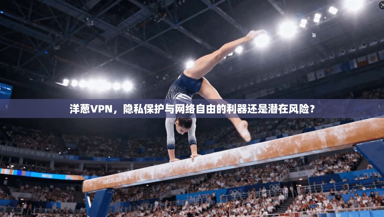 洋葱VPN，隐私保护与网络自由的利器还是潜在风险？