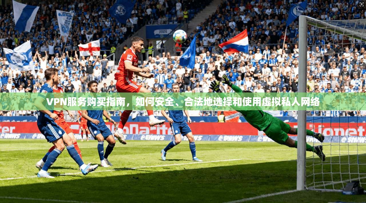 VPN服务购买指南，如何安全、合法地选择和使用虚拟私人网络