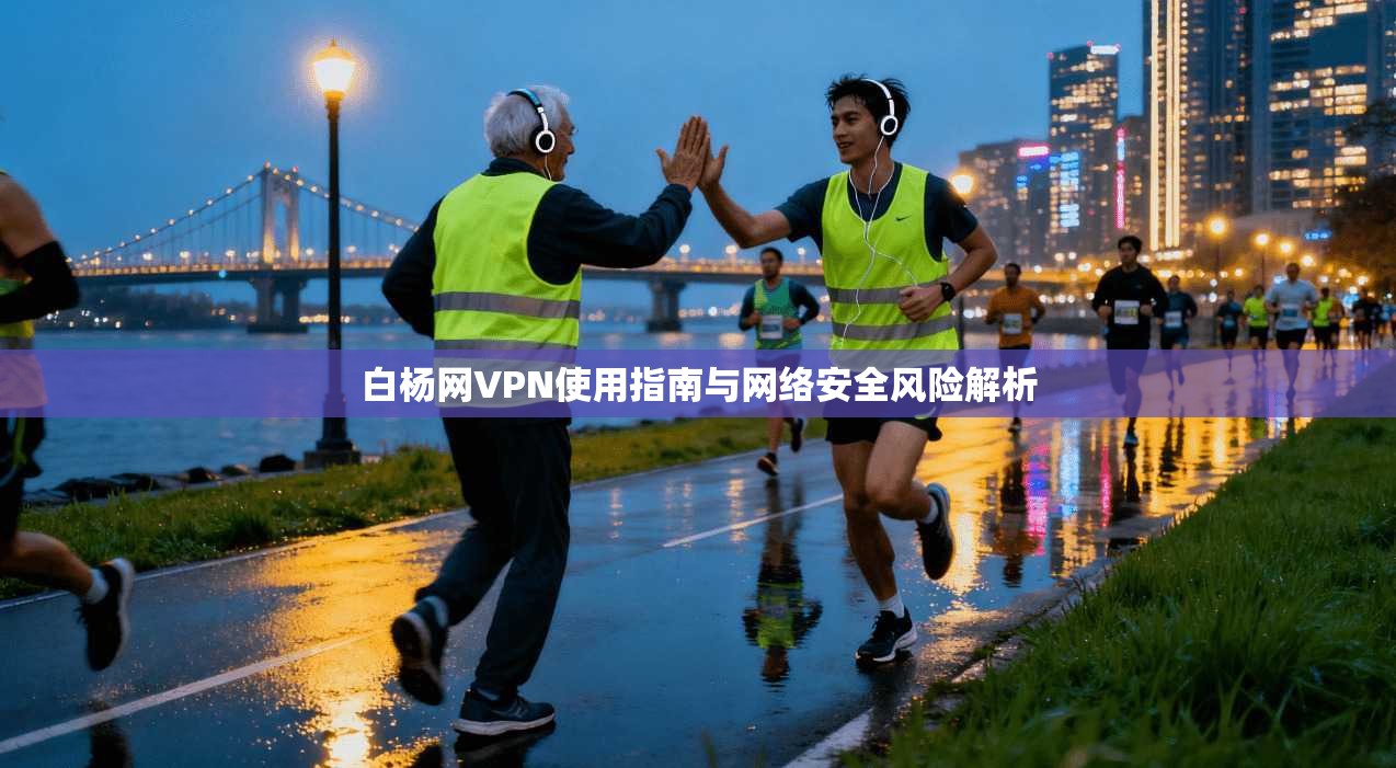 白杨网VPN使用指南与网络安全风险解析