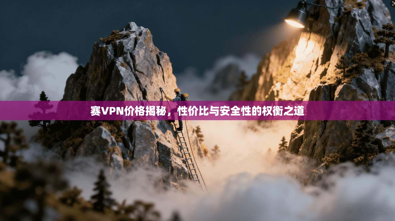 赛VPN价格揭秘，性价比与安全性的权衡之道