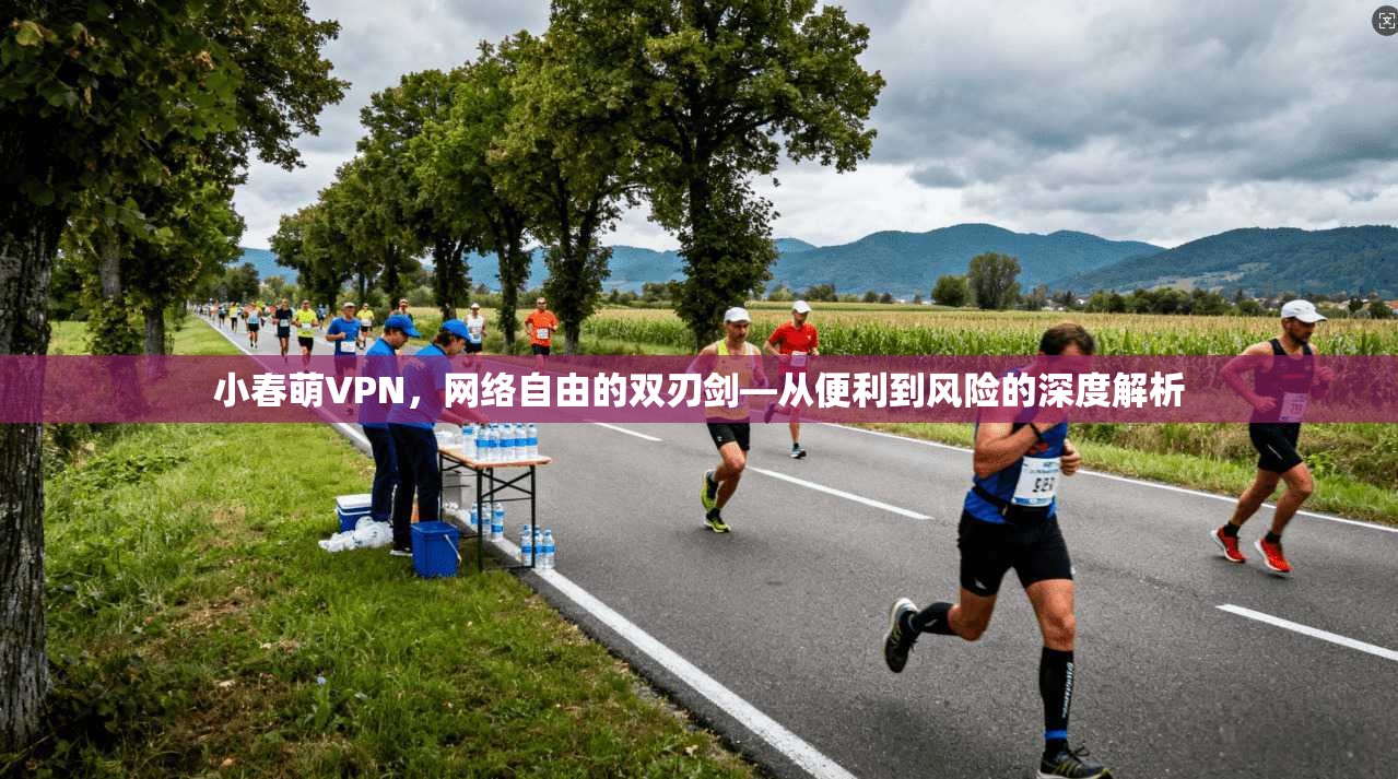 小春萌VPN，网络自由的双刃剑—从便利到风险的深度解析