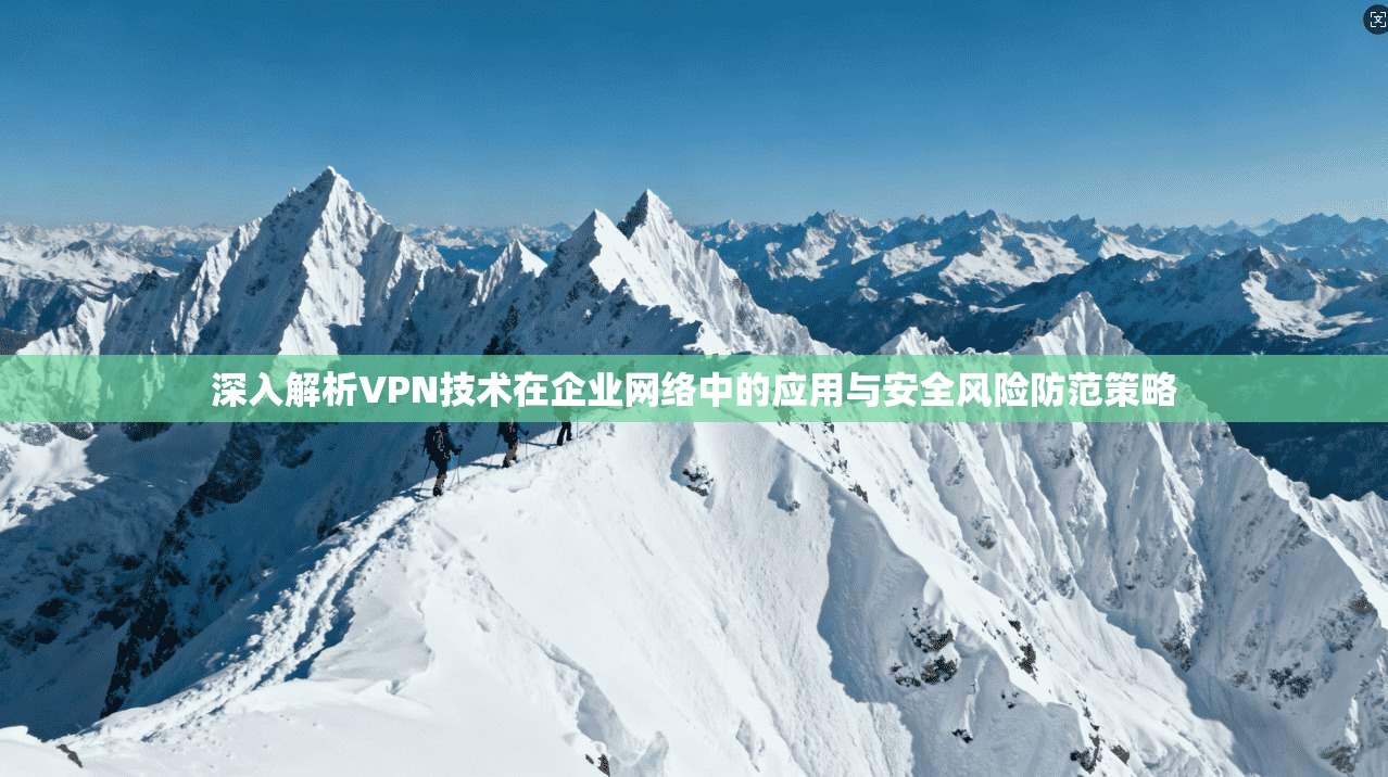 深入解析VPN技术在企业网络中的应用与安全风险防范策略
