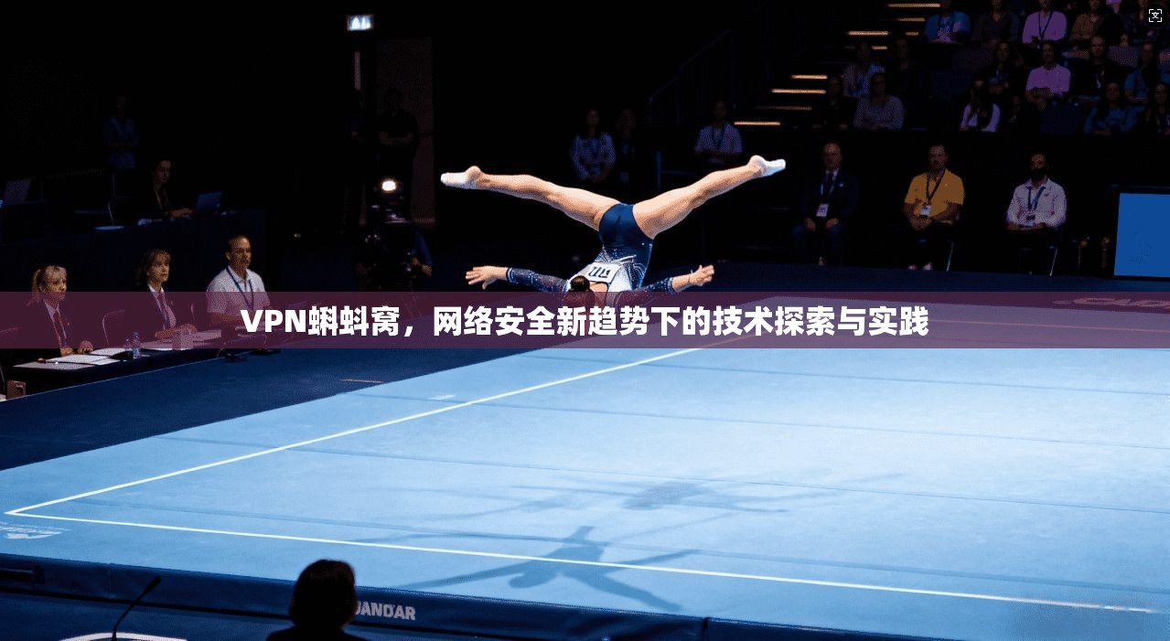VPN蝌蚪窝,网络安全新趋势下的技术探索与实践