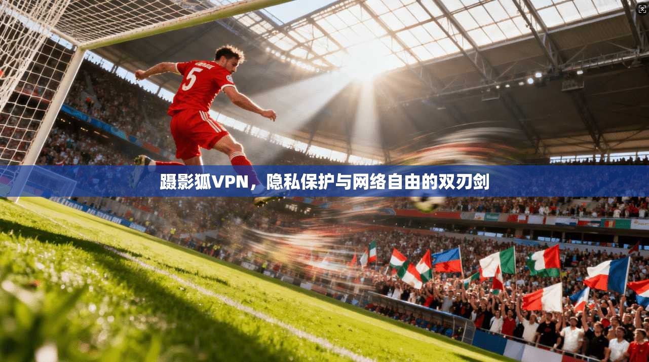 蹑影狐VPN，隐私保护与网络自由的双刃剑