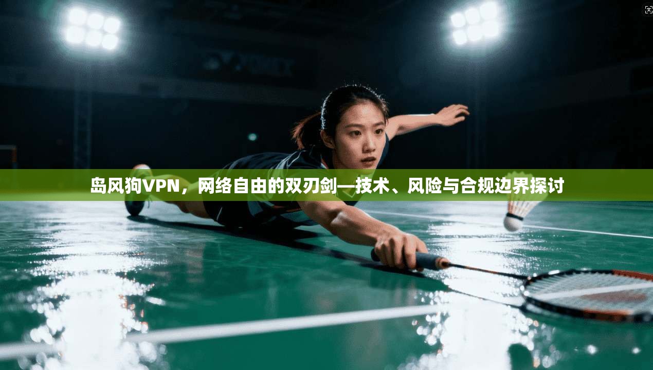 岛风狗VPN，网络自由的双刃剑—技术、风险与合规边界探讨