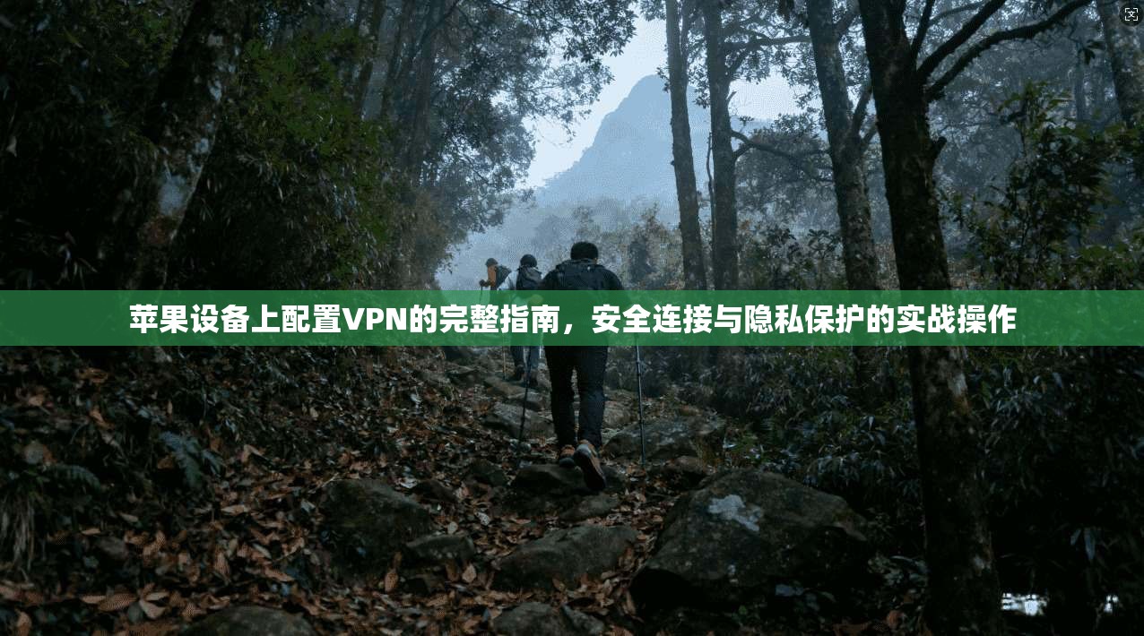 苹果设备上配置VPN的完整指南，安全连接与隐私保护的实战操作