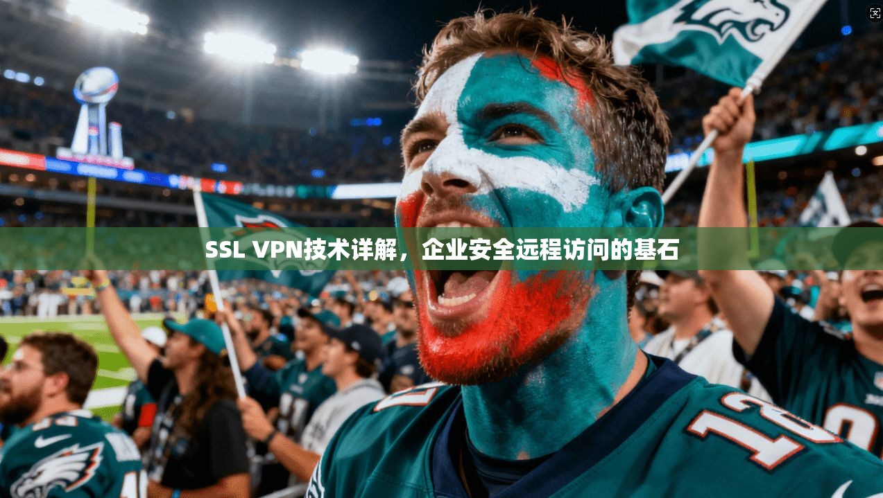 SSL VPN技术详解，企业安全远程访问的基石