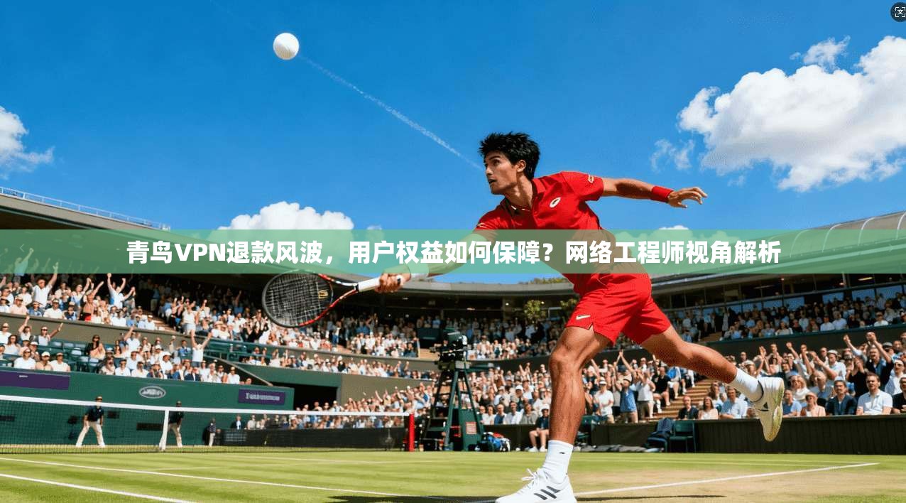 青鸟VPN退款风波,用户权益如何保障?网络工程师视角解析