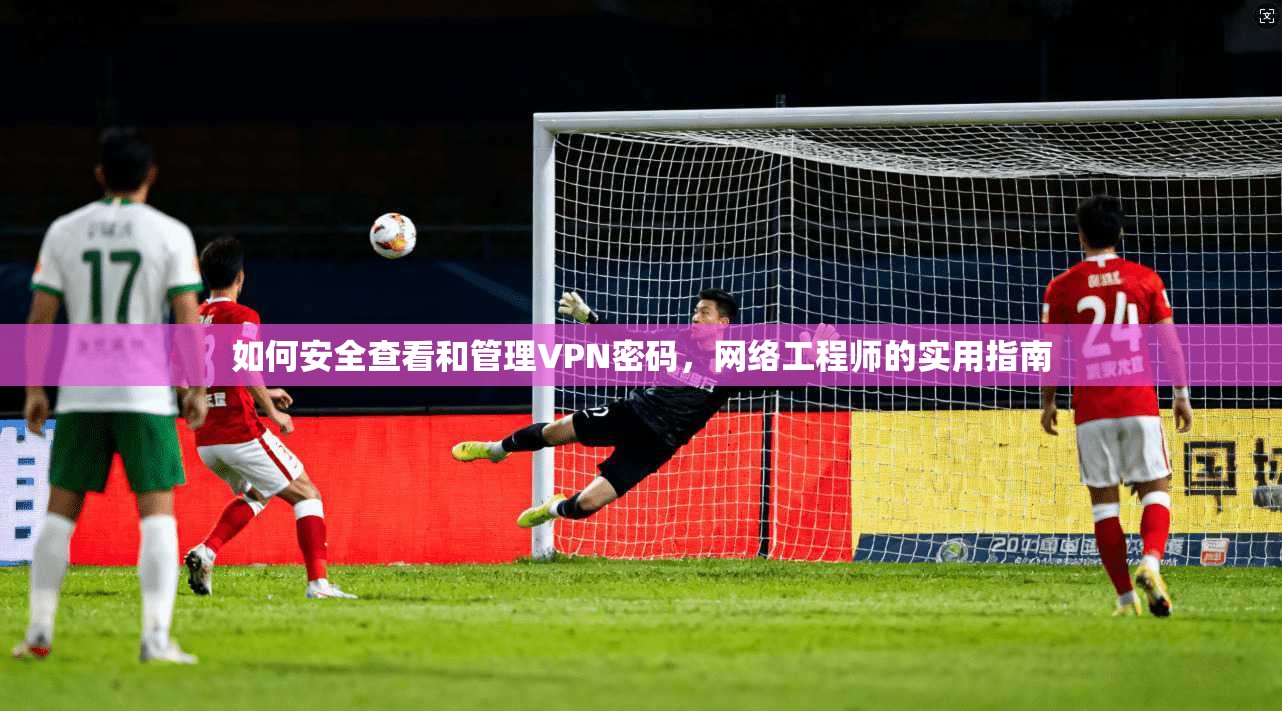 如何安全查看和管理VPN密码，网络工程师的实用指南