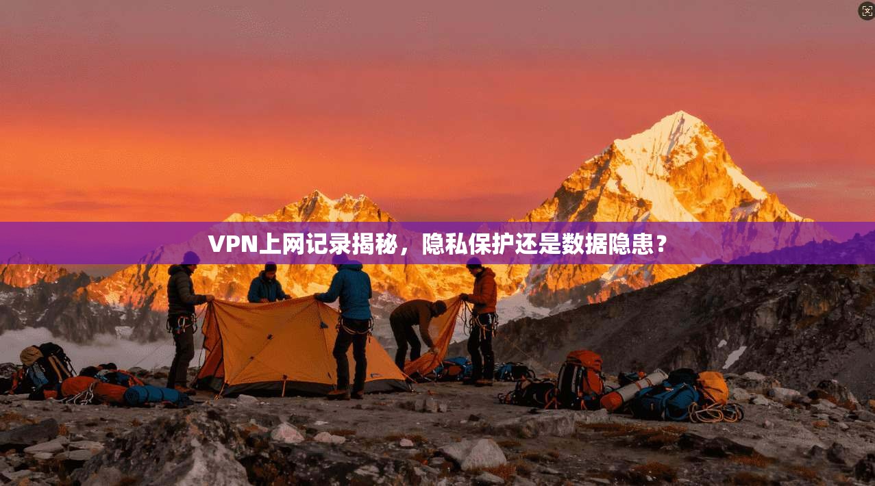 VPN上网记录揭秘，隐私保护还是数据隐患？