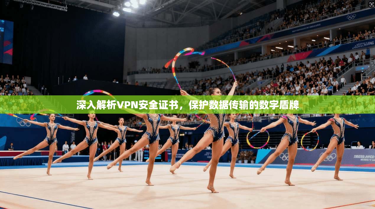 深入解析VPN安全证书，保护数据传输的数字盾牌