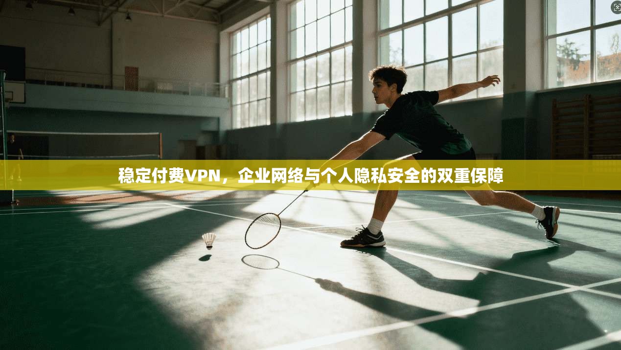 稳定付费VPN，企业网络与个人隐私安全的双重保障