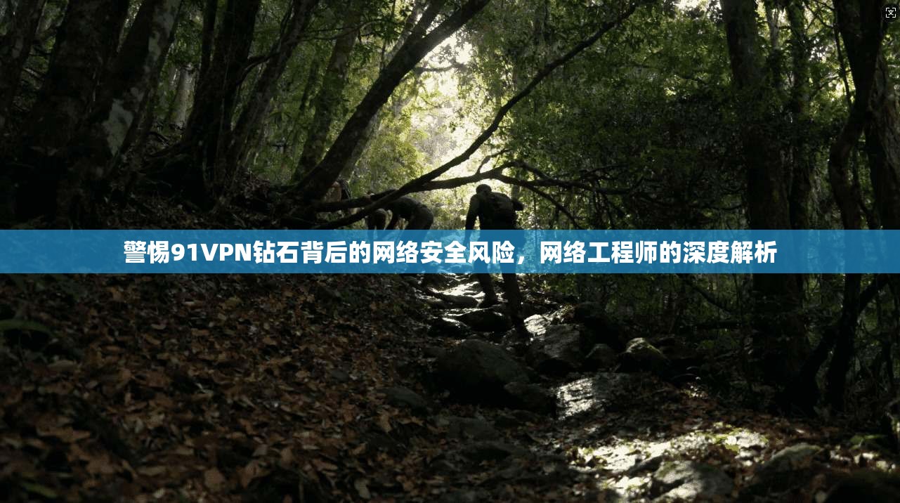 警惕91VPN钻石背后的网络安全风险，网络工程师的深度解析