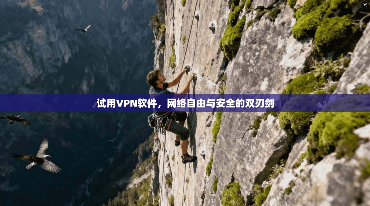 试用VPN软件，网络自由与安全的双刃剑