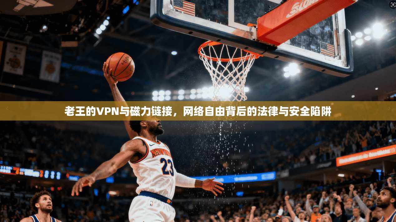 老王的VPN与磁力链接，网络自由背后的法律与安全陷阱