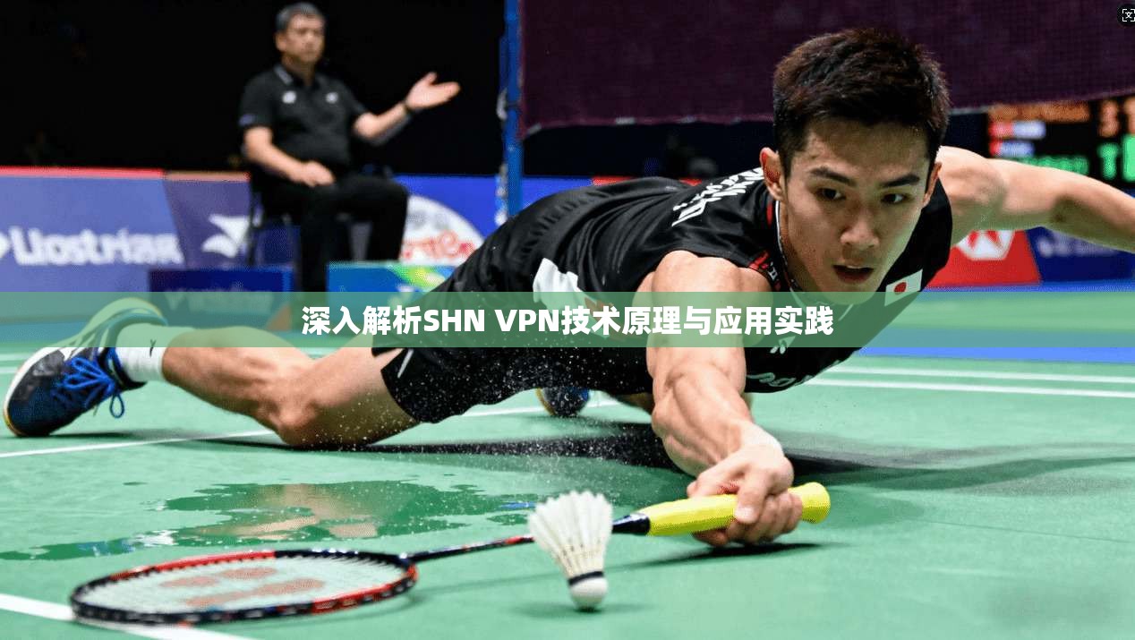 深入解析SHN VPN技术原理与应用实践