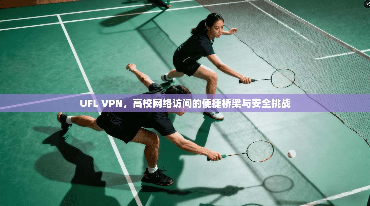 UFL VPN，高校网络访问的便捷桥梁与安全挑战