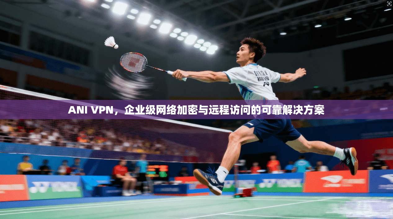ANI VPN，企业级网络加密与远程访问的可靠解决方案