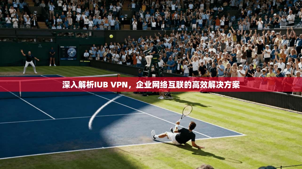 深入解析IUB VPN，企业网络互联的高效解决方案