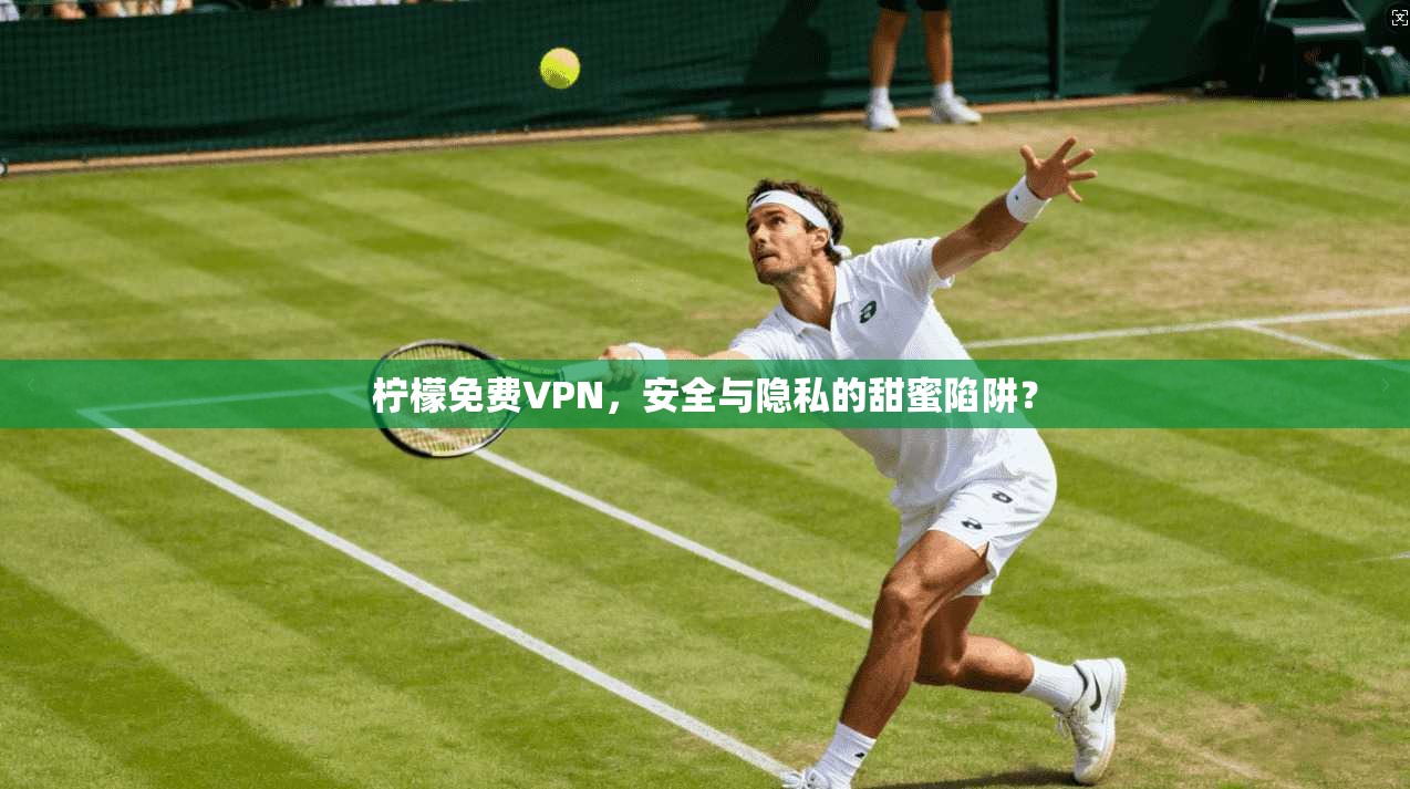 柠檬免费VPN，安全与隐私的甜蜜陷阱？