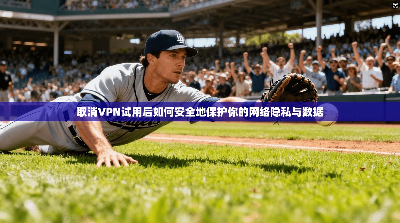取消VPN试用后如何安全地保护你的网络隐私与数据