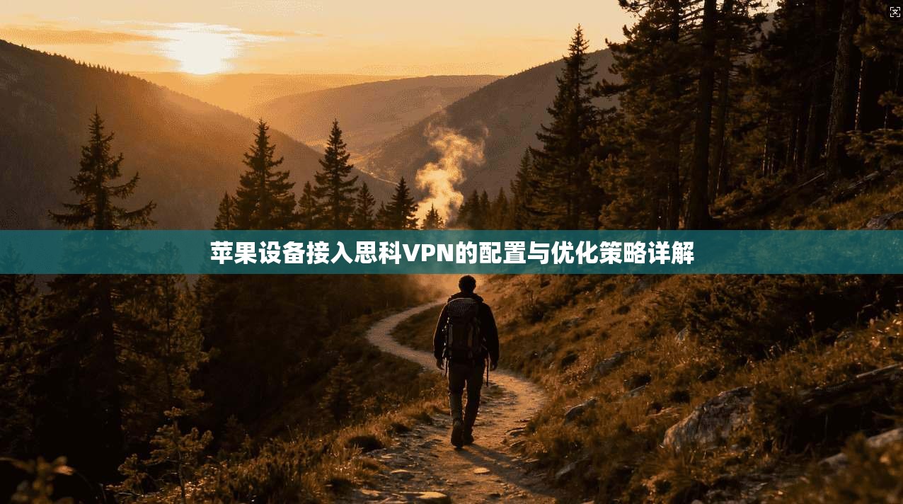 苹果设备接入思科VPN的配置与优化策略详解