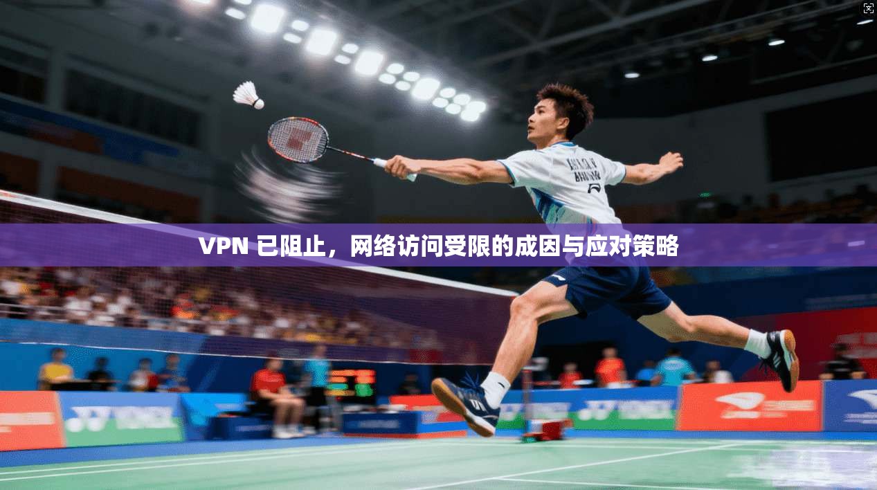 VPN 已阻止，网络访问受限的成因与应对策略