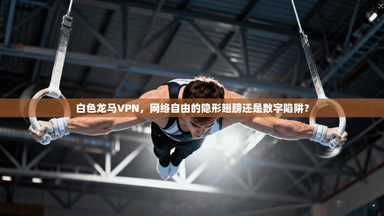 白色龙马VPN，网络自由的隐形翅膀还是数字陷阱？