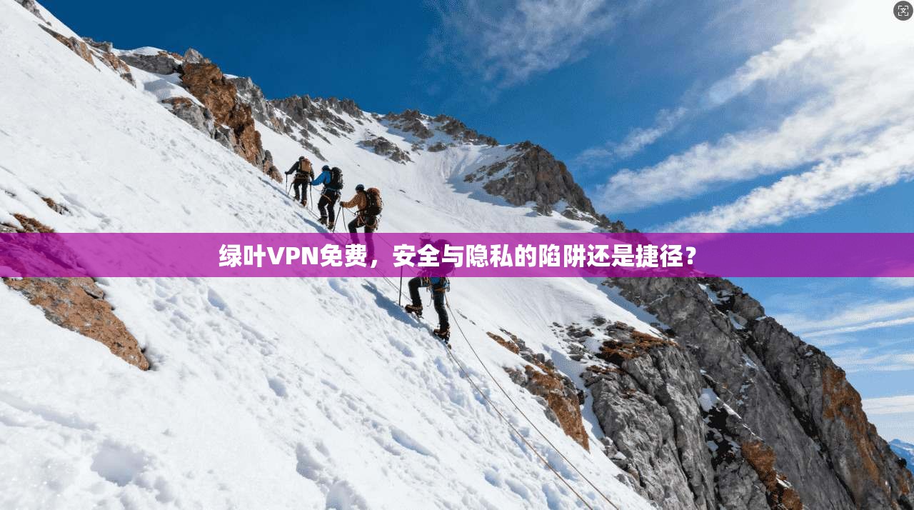 绿叶VPN免费，安全与隐私的陷阱还是捷径？